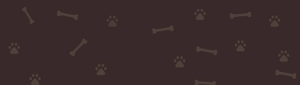 Fondo-Slider1.jpg