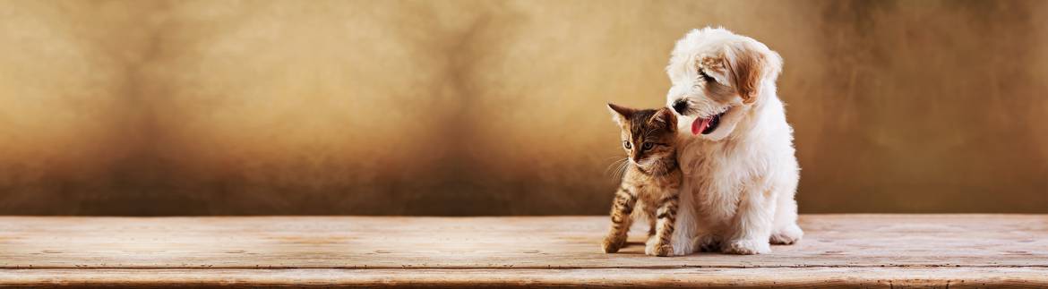 background-4.jpg