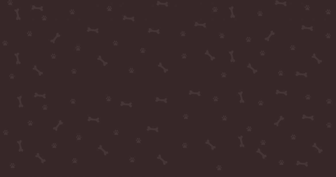 background-5.jpg