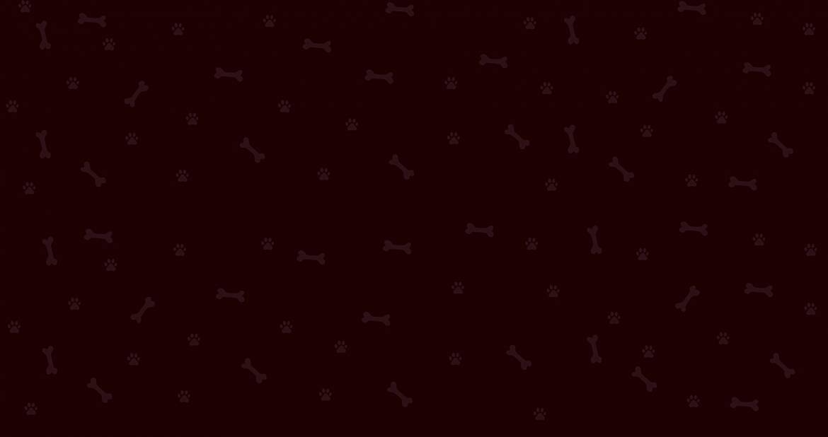 Back-Dark.jpg