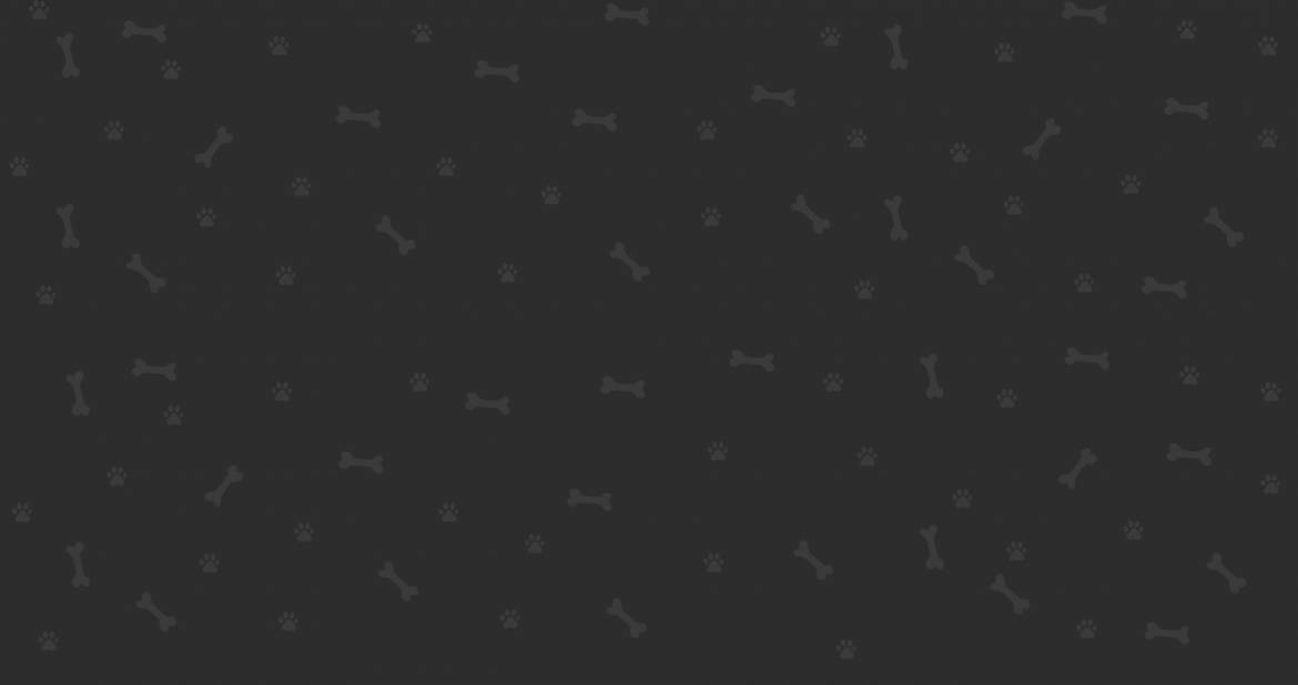 background-5.jpeg